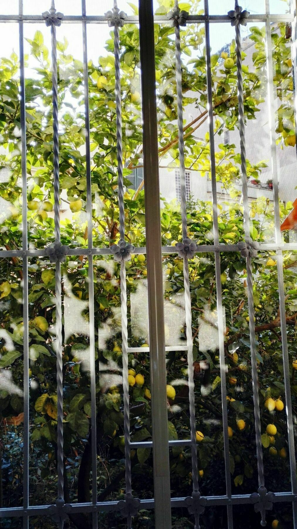 罗马Via Umberto公寓 外观 照片